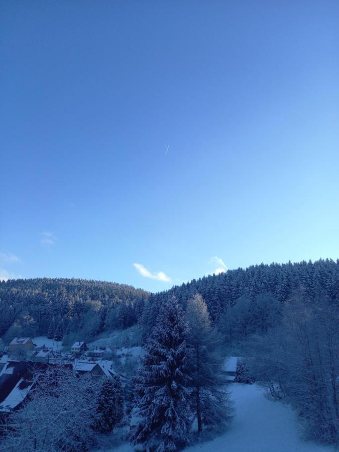 Ferienwohnung Aroba neu, auch für Monteure Fehrenbach Exterior foto