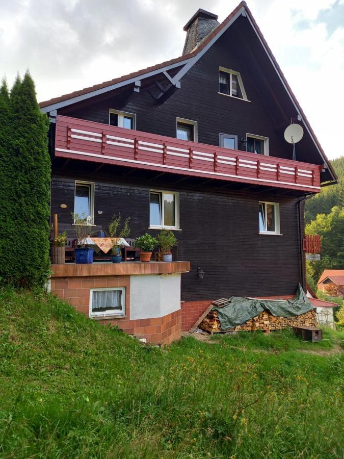 Ferienwohnung Aroba neu, auch für Monteure Fehrenbach Exterior foto