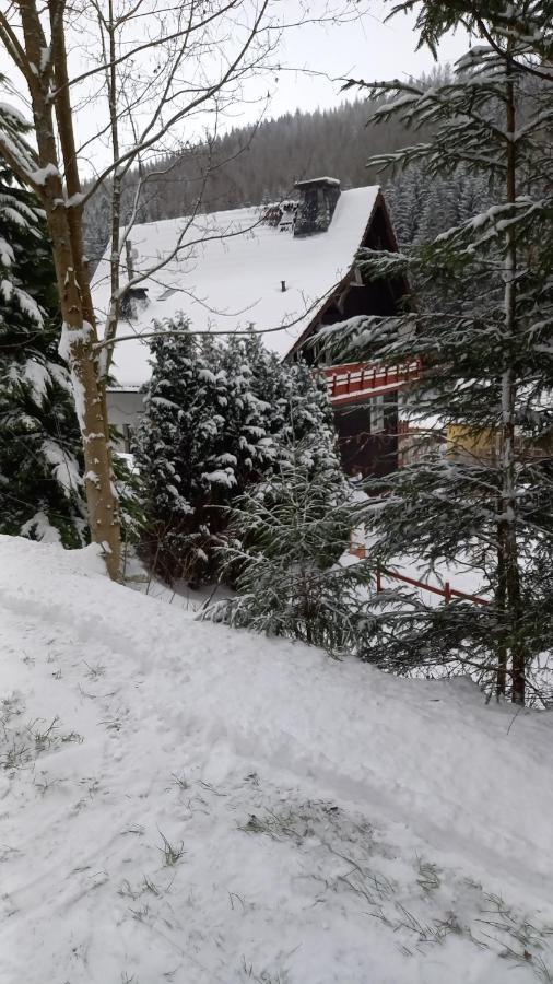 Ferienwohnung Aroba neu, auch für Monteure Fehrenbach Exterior foto