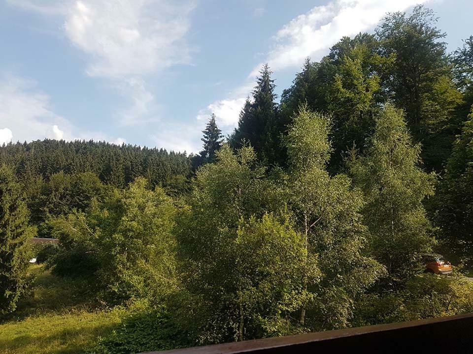 Ferienwohnung Aroba neu, auch für Monteure Fehrenbach Exterior foto